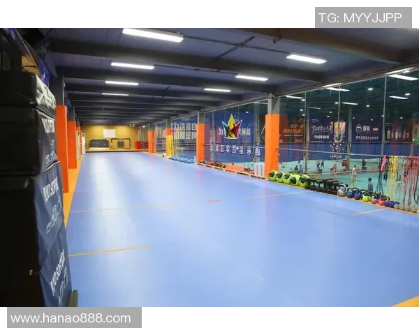 深圳足球俱乐部奋勇争先展现新风貌助力城市体育文化发展